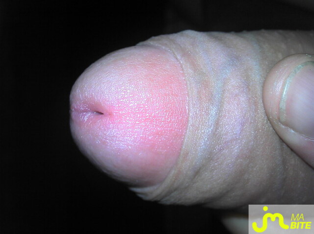 Photo de la bite de Max85