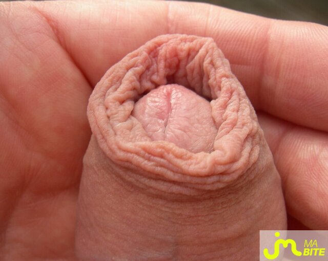 Photo de la bite de Bear
