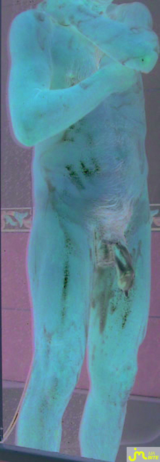 Photo de la bite de Jobandcool