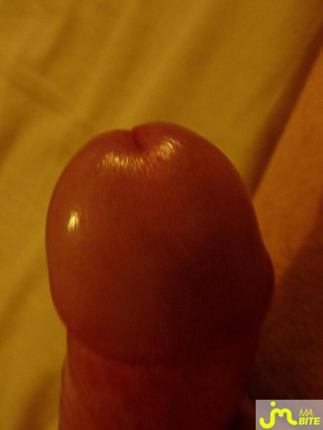 Photo de la bite de Benoitg