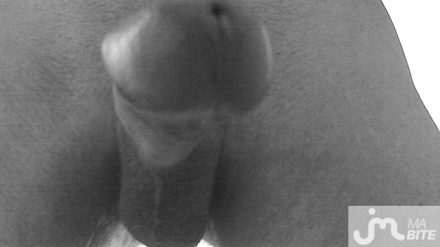 Photo de la bite de Zizix