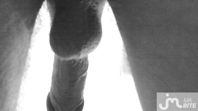 Photo de la bite de Zizix