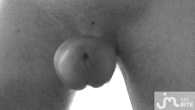 Photo de la bite de Zizix