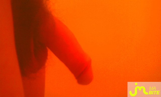 Photo de la bite de Alex1706