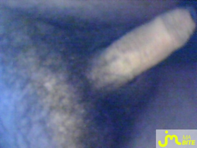 Photo de la bite de Curieux87
