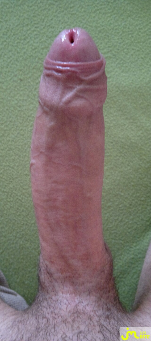 Photo de la bite de Antoinelille