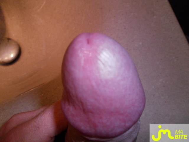 Photo de la bite de Lamalice
