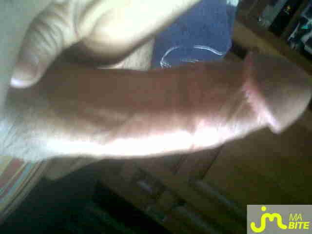 Photo de la bite de Arabi