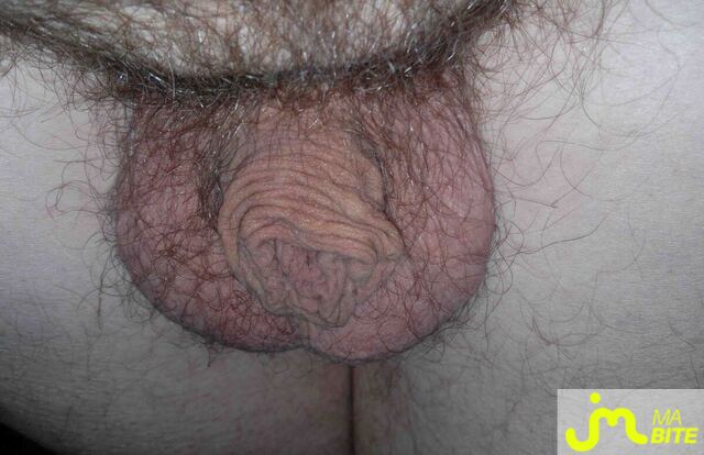 Photo de la bite de Freetoy