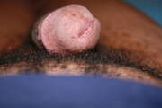 Photos de la bite de Beaublack58, 2eme contribution qu'en pensez vous mesdames?