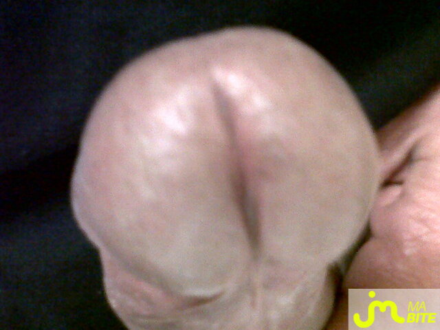 Photo de la bite de Paralele