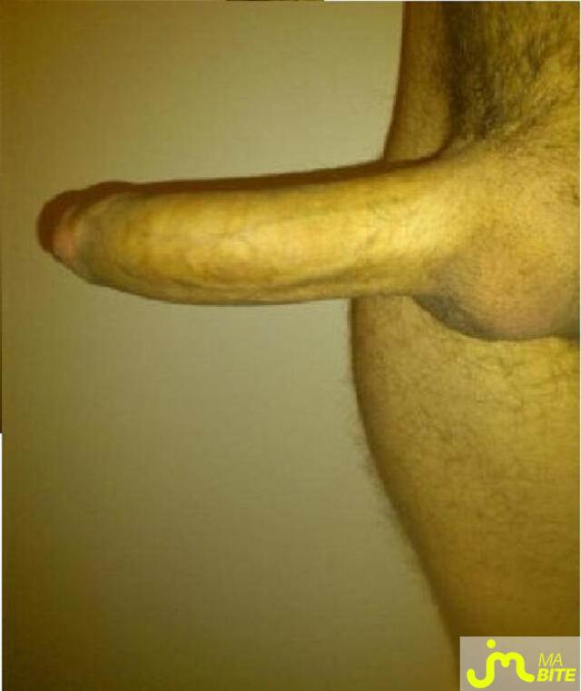 Photo de la bite de Mrwho