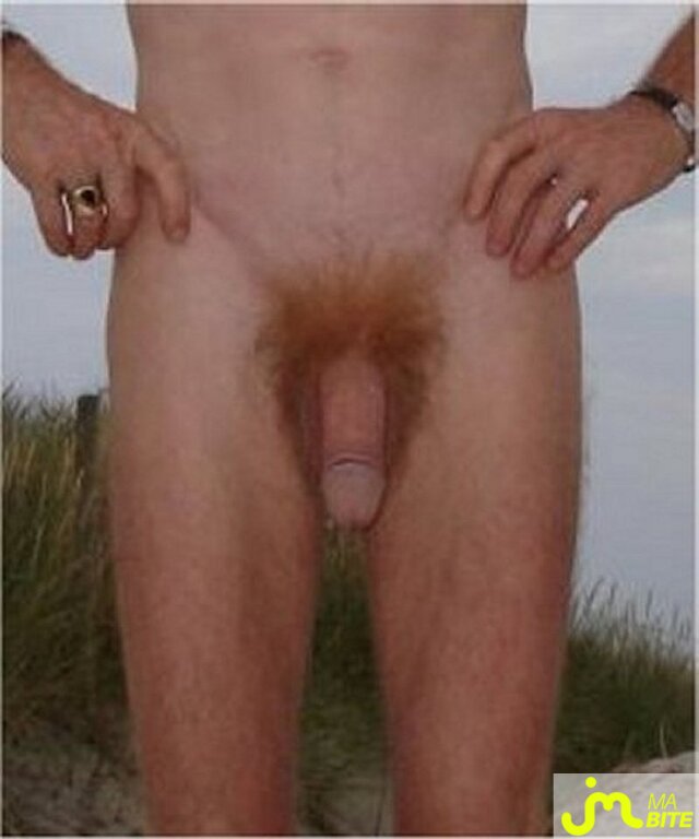 Photo de la bite de Jomy
