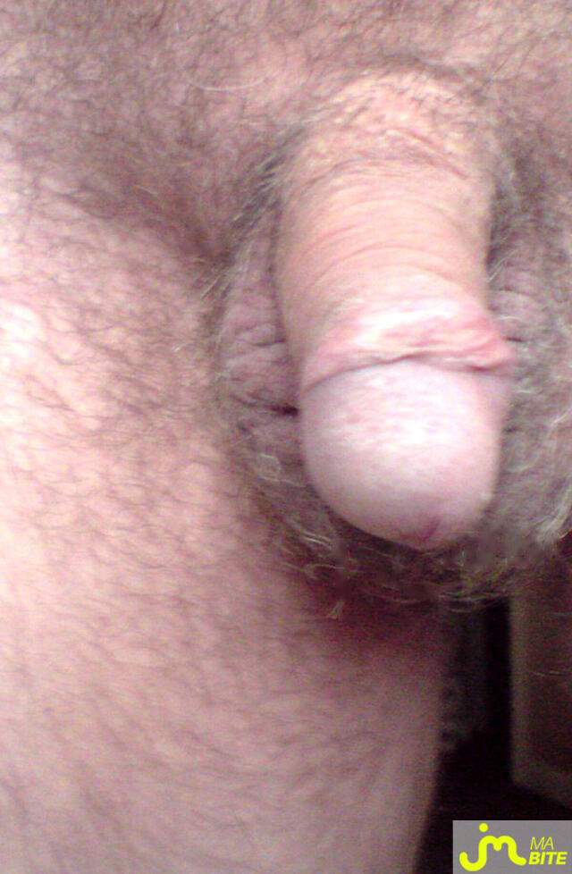 Photo de la bite de Gayptisex