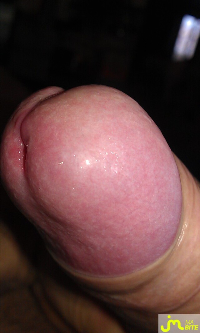 Photo de la bite de Plaisir95