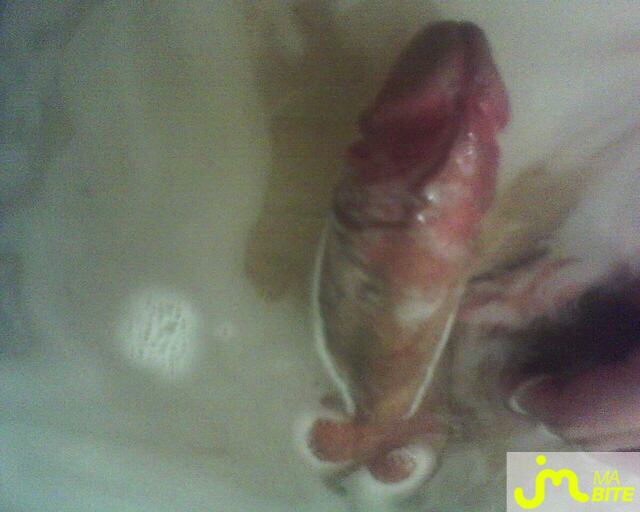 Photo de la bite de Jeunemecdu31