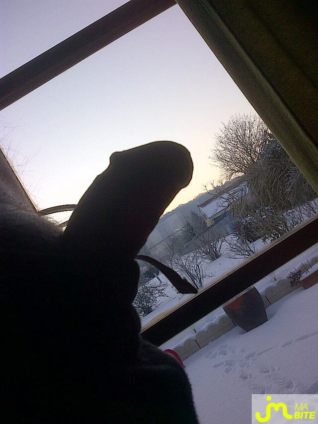 Photo de la bite de Veltime
