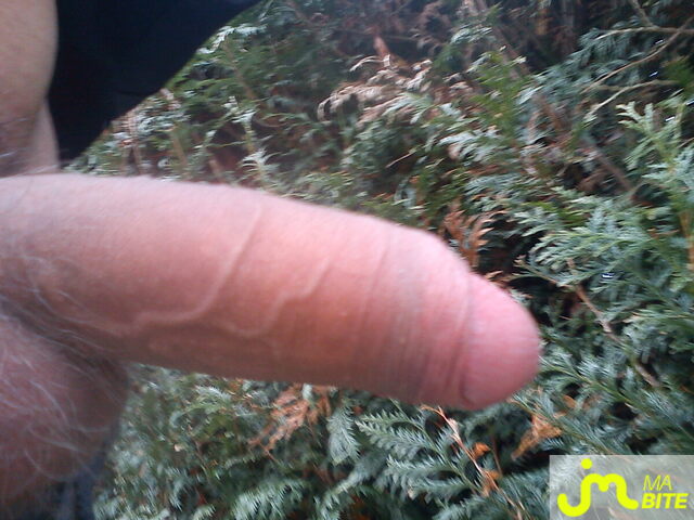 Photo de la bite de Doudou95
