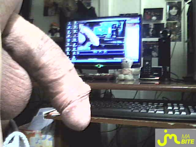 Photo de la bite de Réglisse