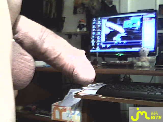 Photo de la bite de Réglisse