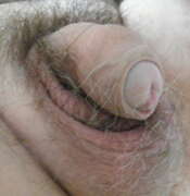 Photos de la bite de Sex6, mon sexe