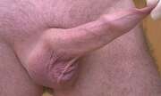 Photos de la bite de Bear, gant en latex
