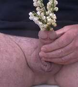 Photos de la bite de Bear, offrez des fleurs