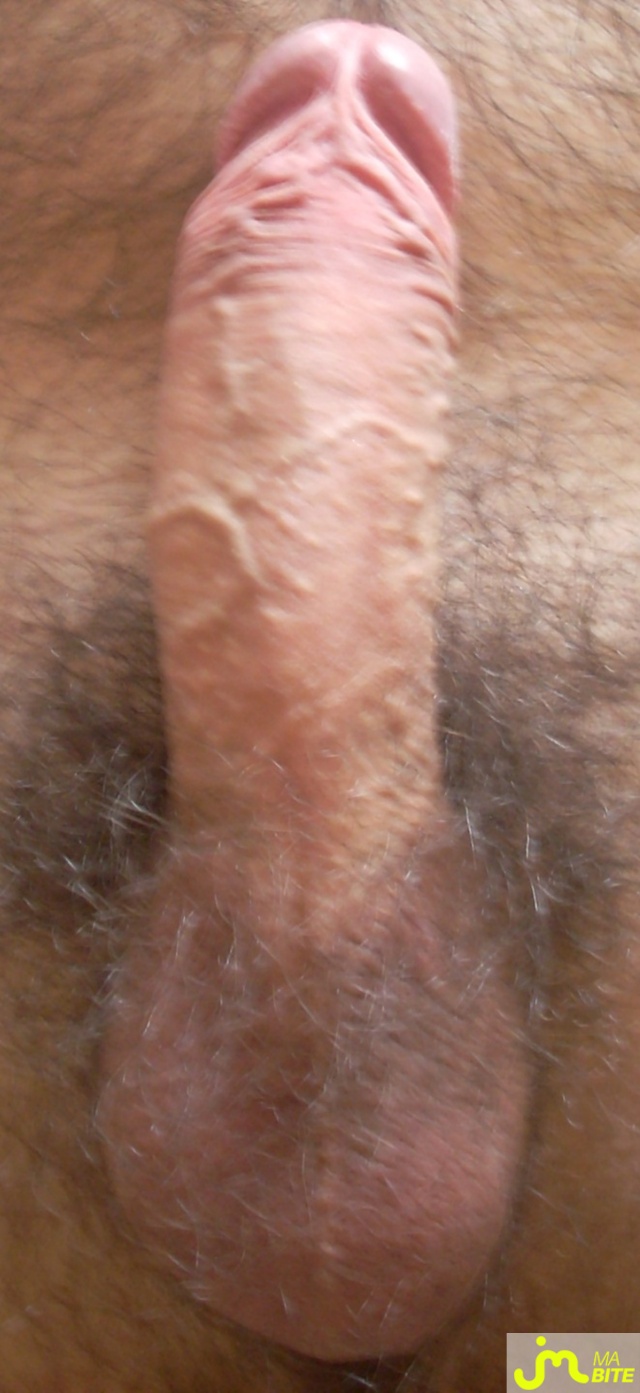bites de jifkamannz