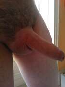 Photos de la bite de Bazooka41, couille razé