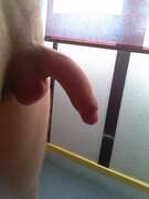 Photos de la bite de Ptitlapin, Premier avis