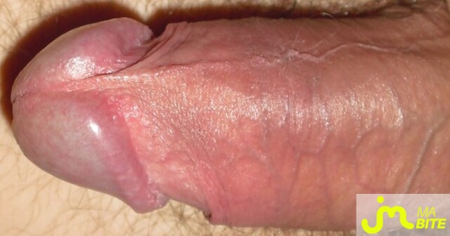 le sexe des hommes beau sexe le sexe des hommes beau sexe