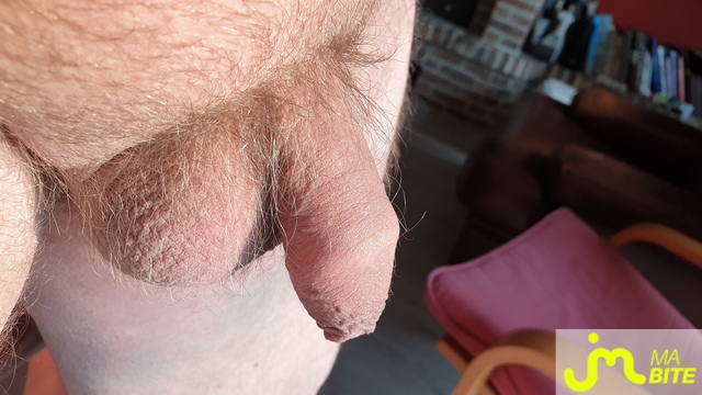 bites de ptitebitedunord