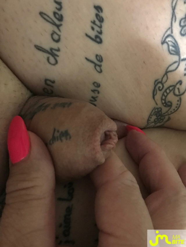 bites de Katyalopette88