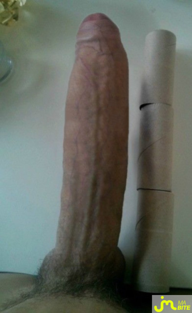 bites de Bigzilla