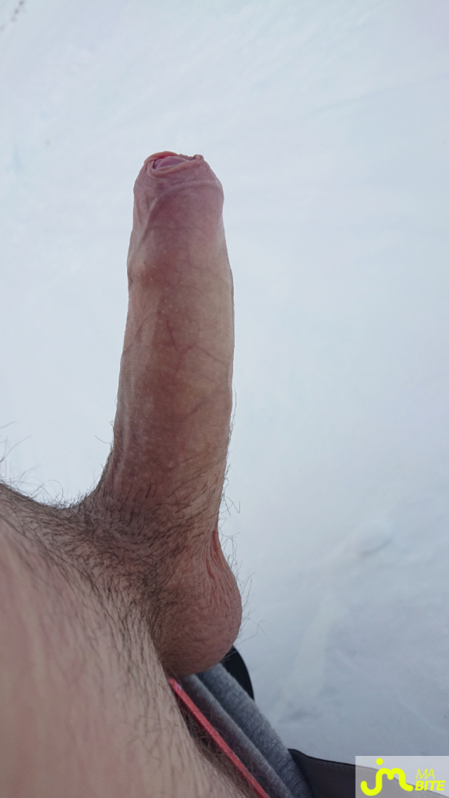 bites de Jibich