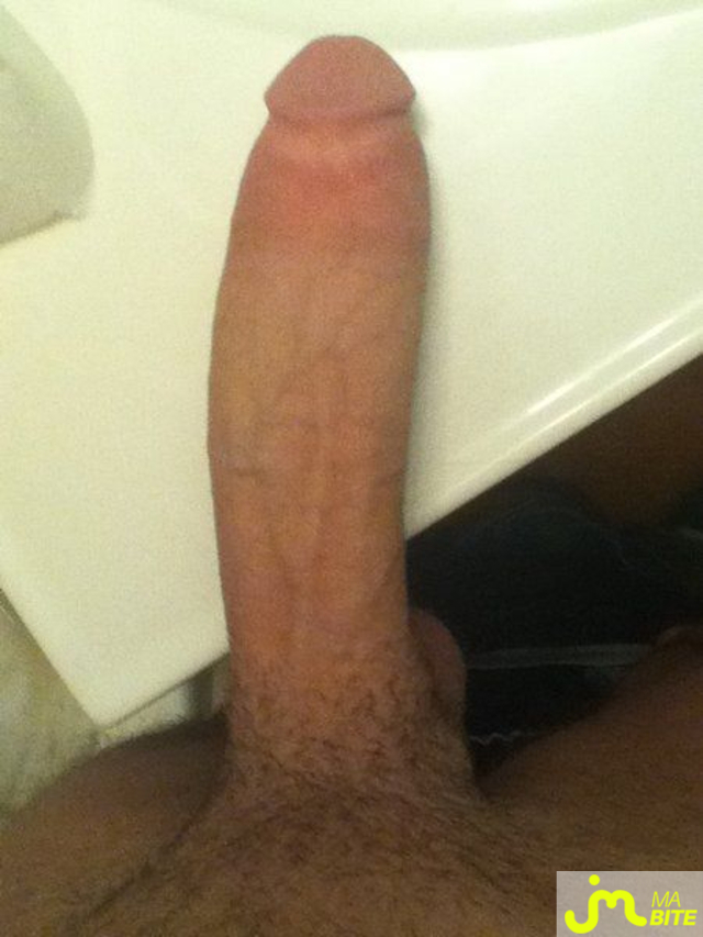 bites de Bigzilla