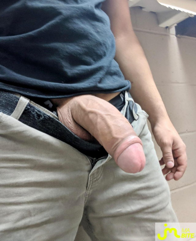 bites de Bigzilla