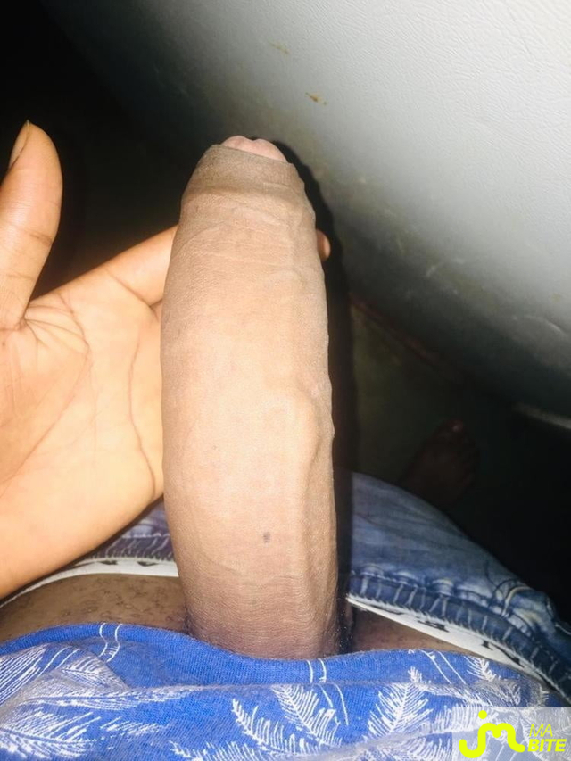 bites de Minigros