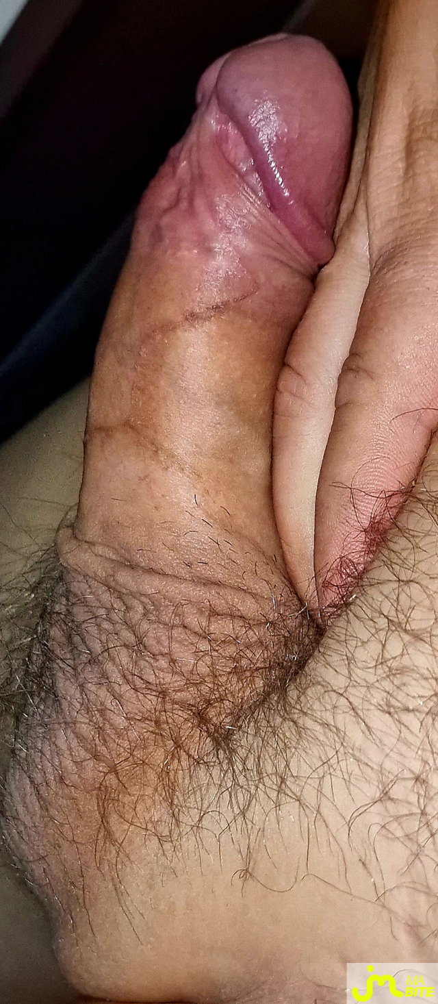 bites de planQ83
