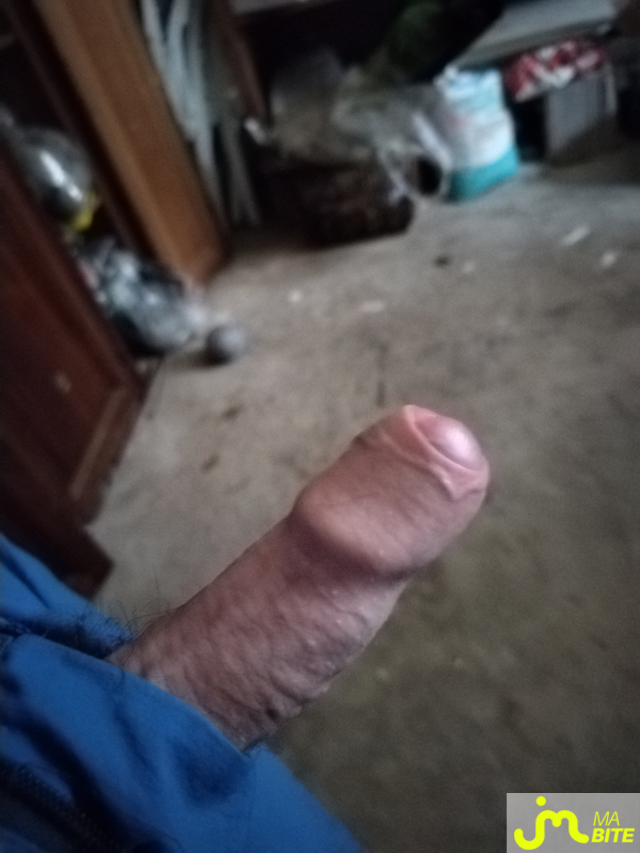 bites de Julios