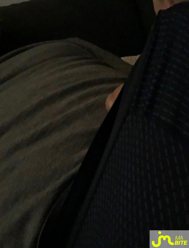 bites de Vincent1180