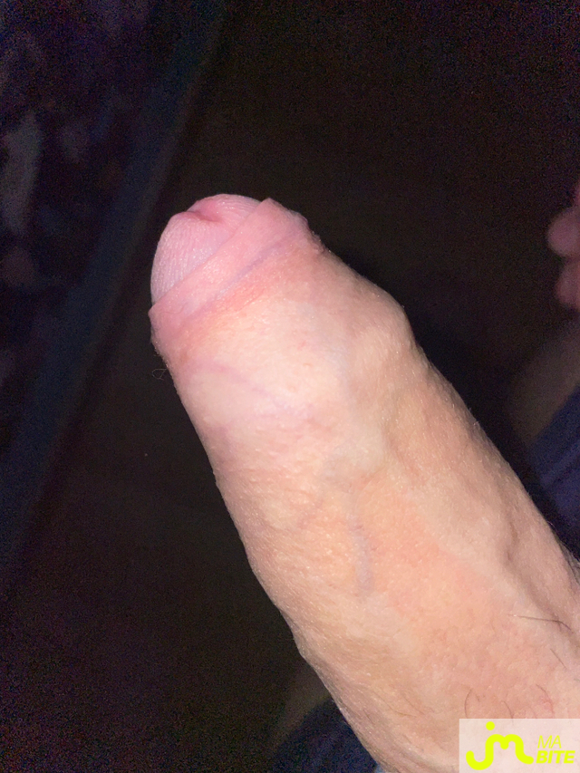 bites de Lexi89