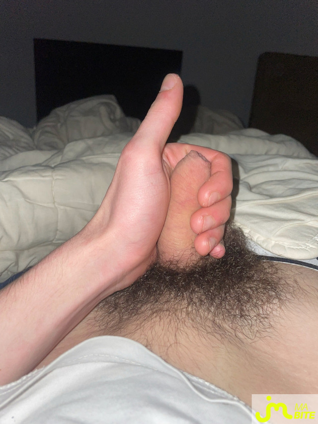 bites de Hhh6447