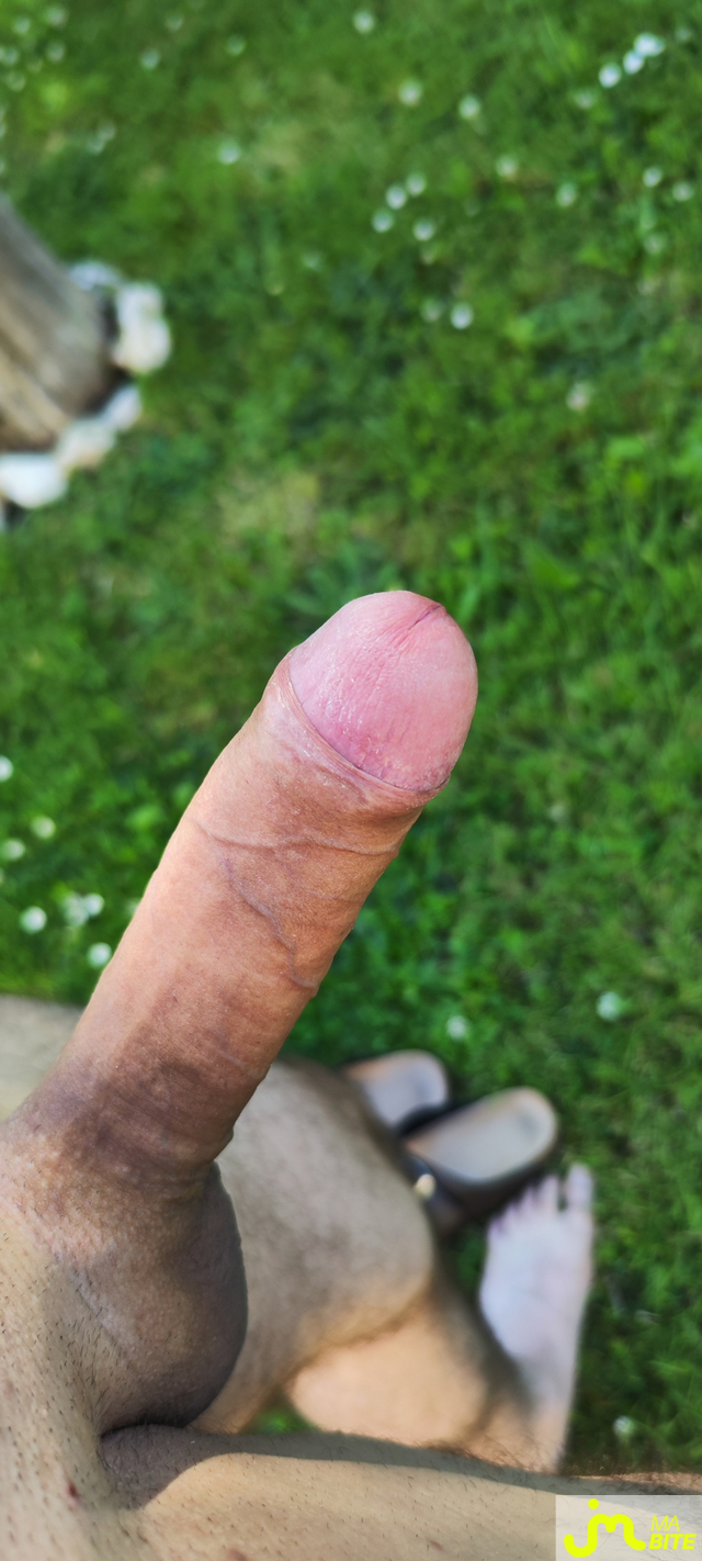 bites de Guillaume 16