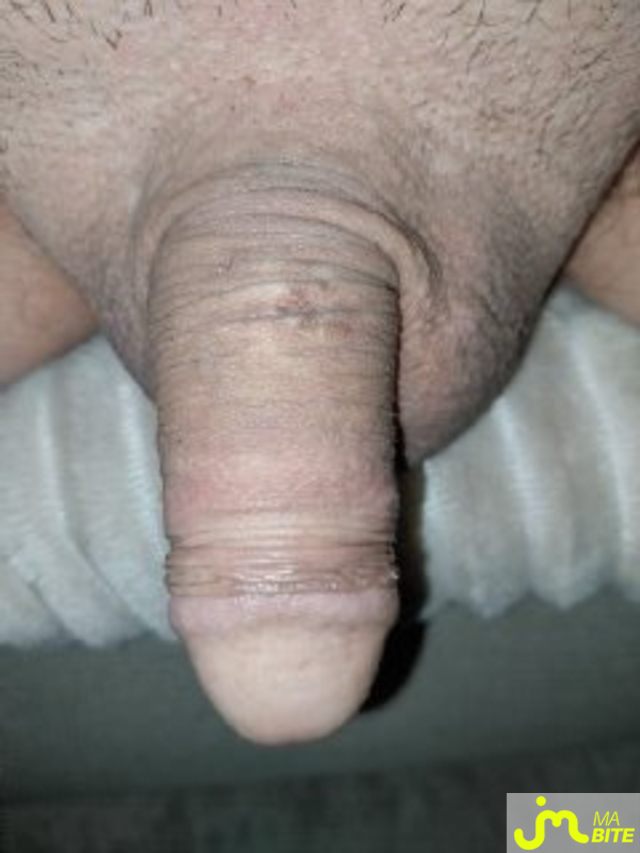 bites de Gourmand66