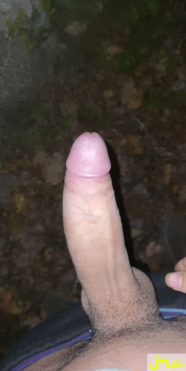 bites de Mahallub