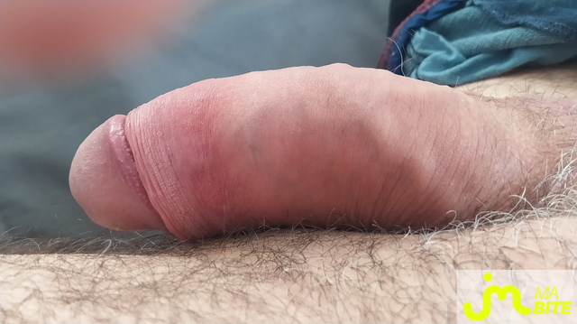 bites de CoquinBreton29