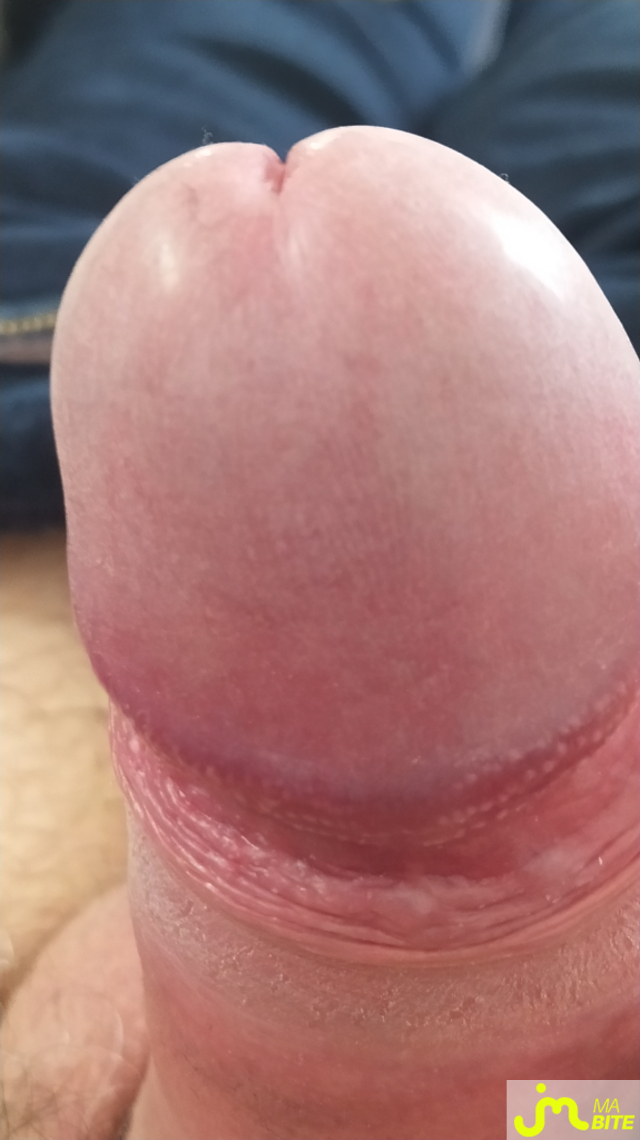 bites de CoquinBreton29