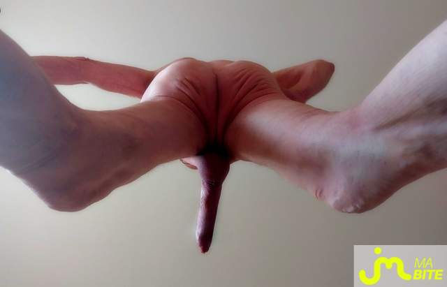 bites de Vxmâlebi46