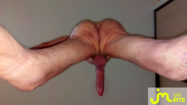 bites de Vxmâlebi46